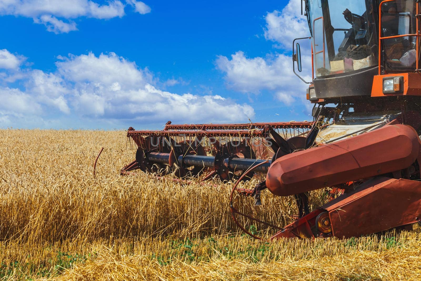 The combine harvests ripe wheat in the grain field. Agricultural work in summer. Detail of the combine close-up.