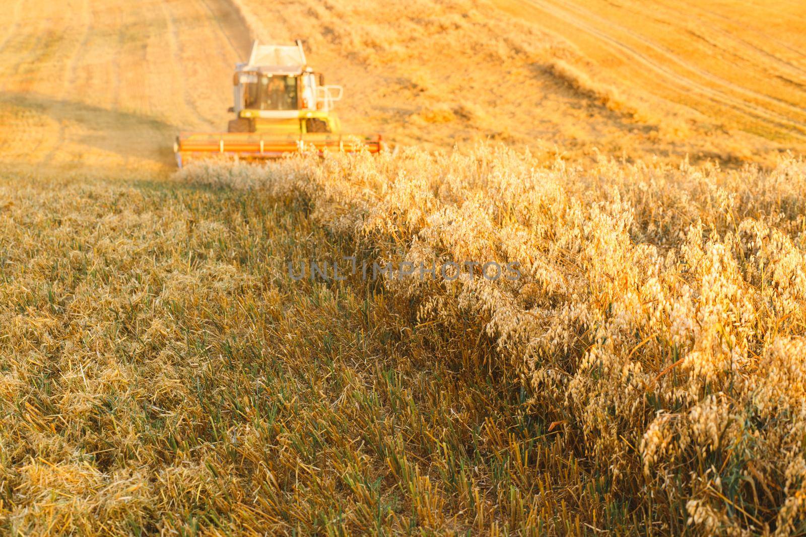 combine harvester working on a oat field