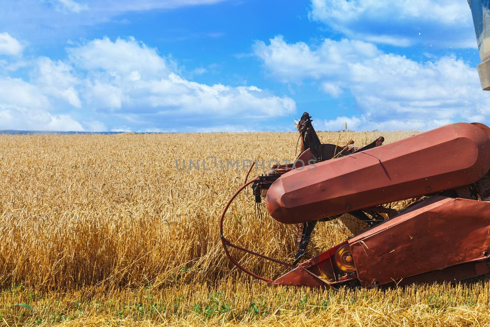 The combine harvests ripe wheat in the grain field. Agricultural work in summer. Header close up.