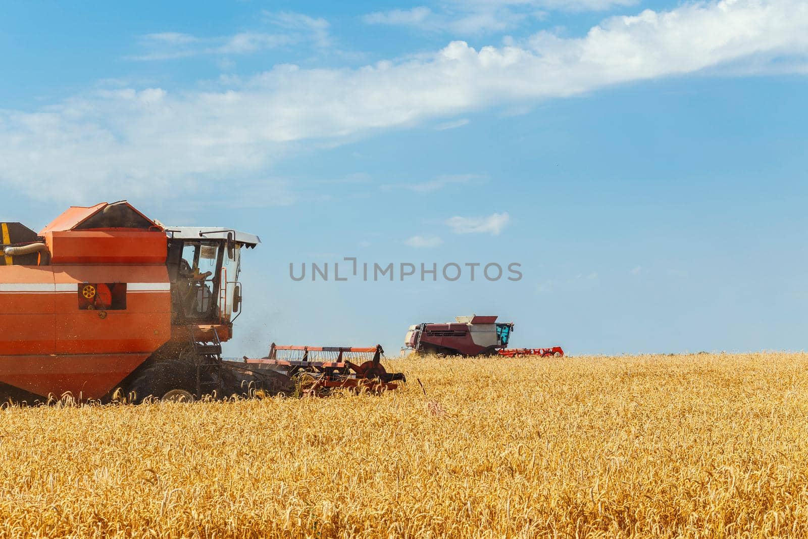 Two combines harvests ripe wheat in the grain field. Agricultural work in summer. Detail of the combine close-up.