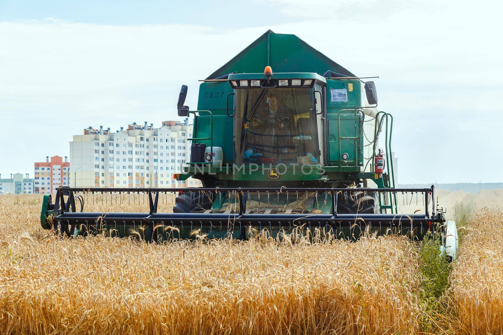 Grodno, Belarus - July 25, 2020: The combine harvests John Deere ripe wheat in the grain field near a residential area Olshanka.