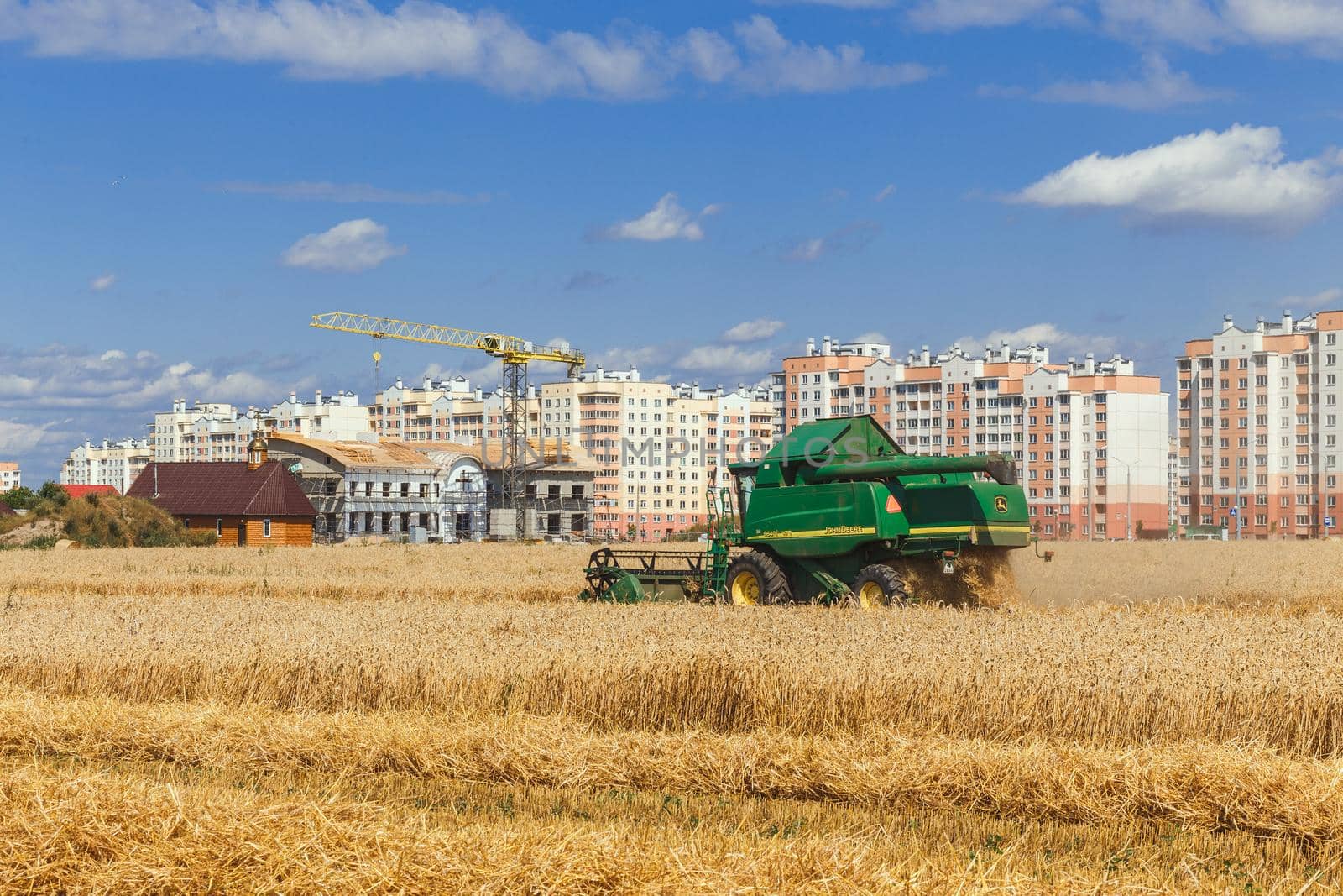 Grodno, Belarus - July 25, 2020: The combine harvests John Deere ripe wheat in the grain field near a residential area Olshanka.