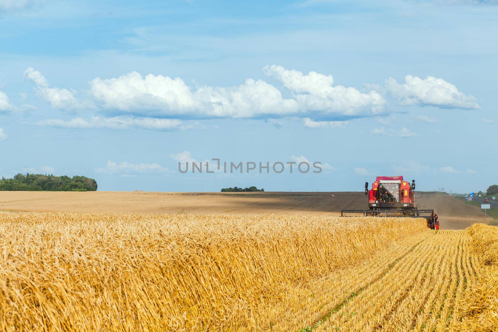 Combine harvester harvesting ripe wheat on sunny summer day.
