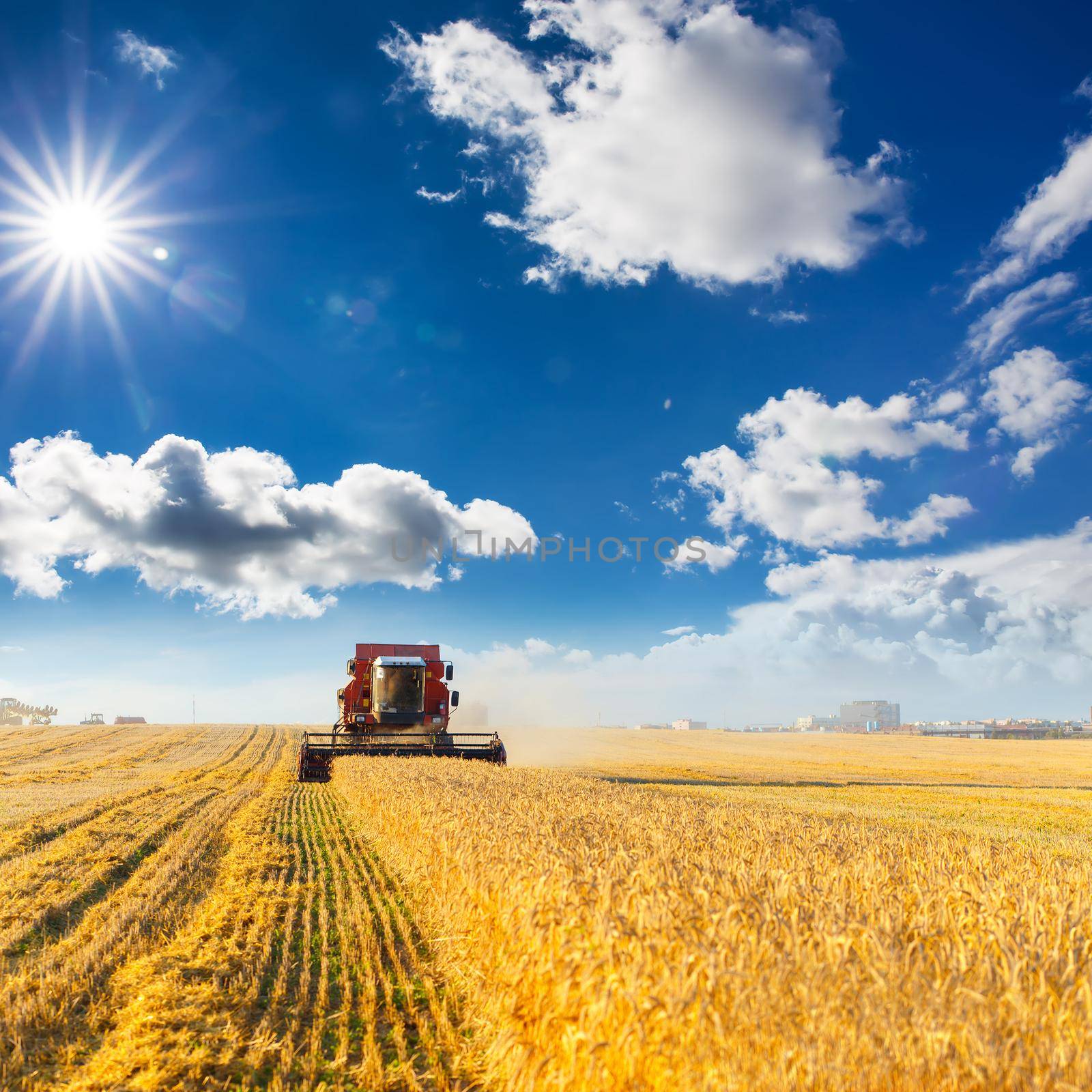 combine harvester working on a wheat field