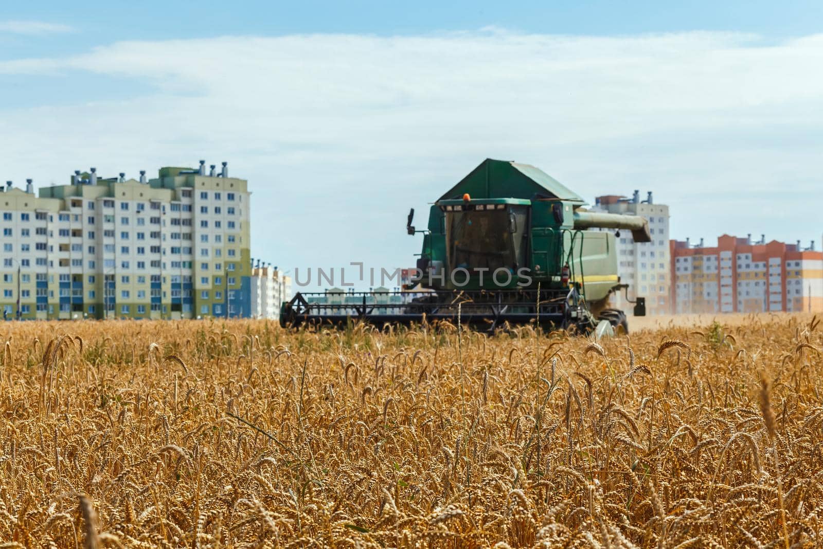 The field of grain wheat and combine harvester near a residential area on background Agricultural work in summer. Header close up.