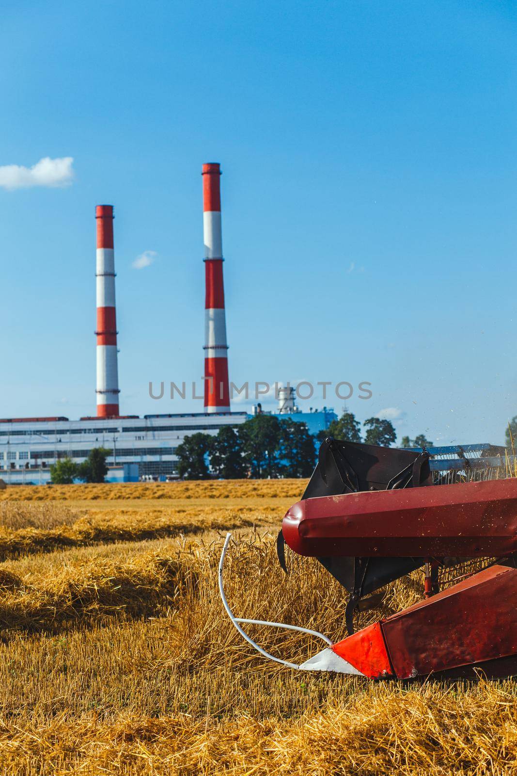 Close up of combine harvester harvesting wheat on sunny summer day near by inndustrial plant..