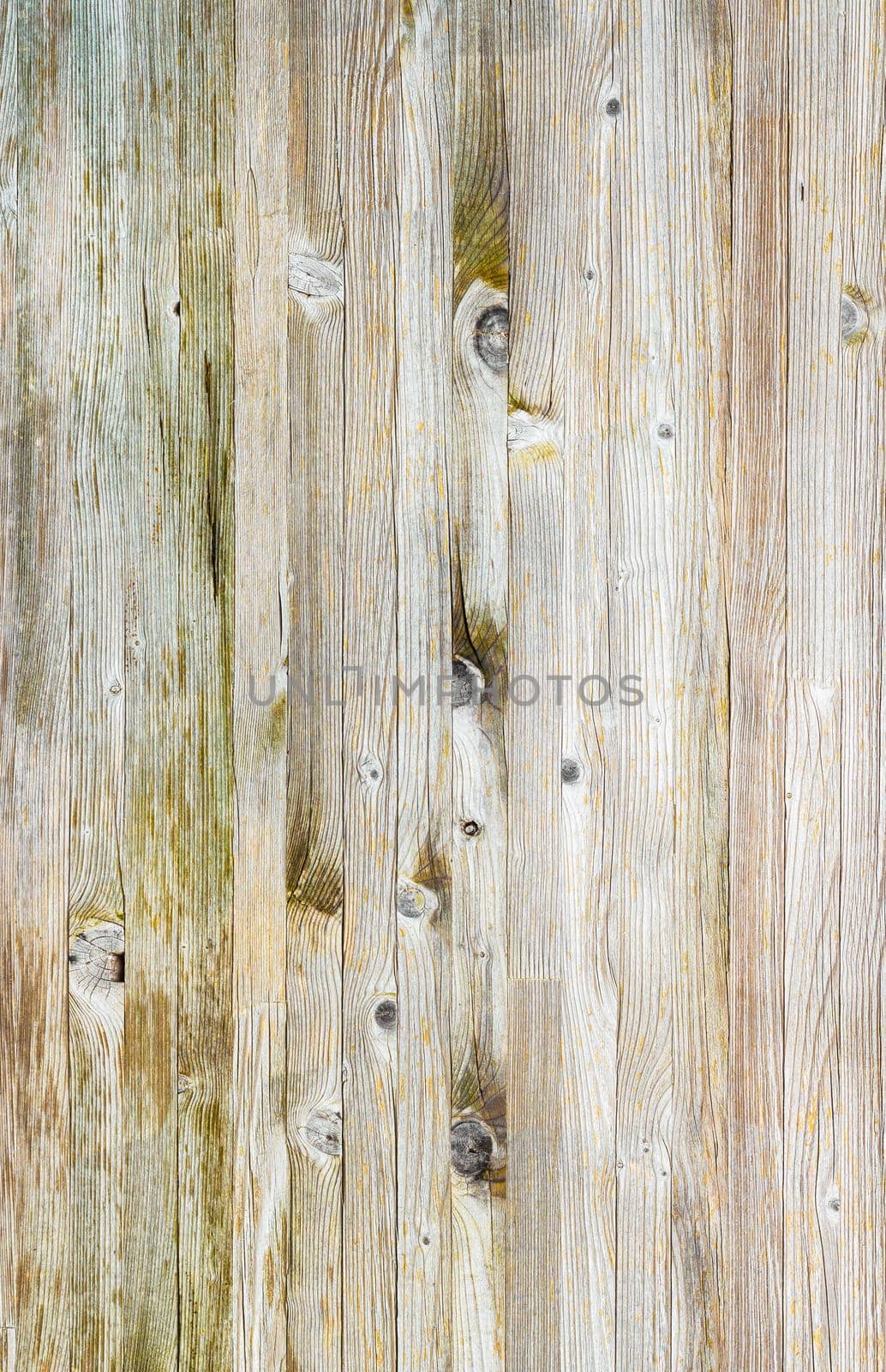 Old wood background. It can be used as texture and background.