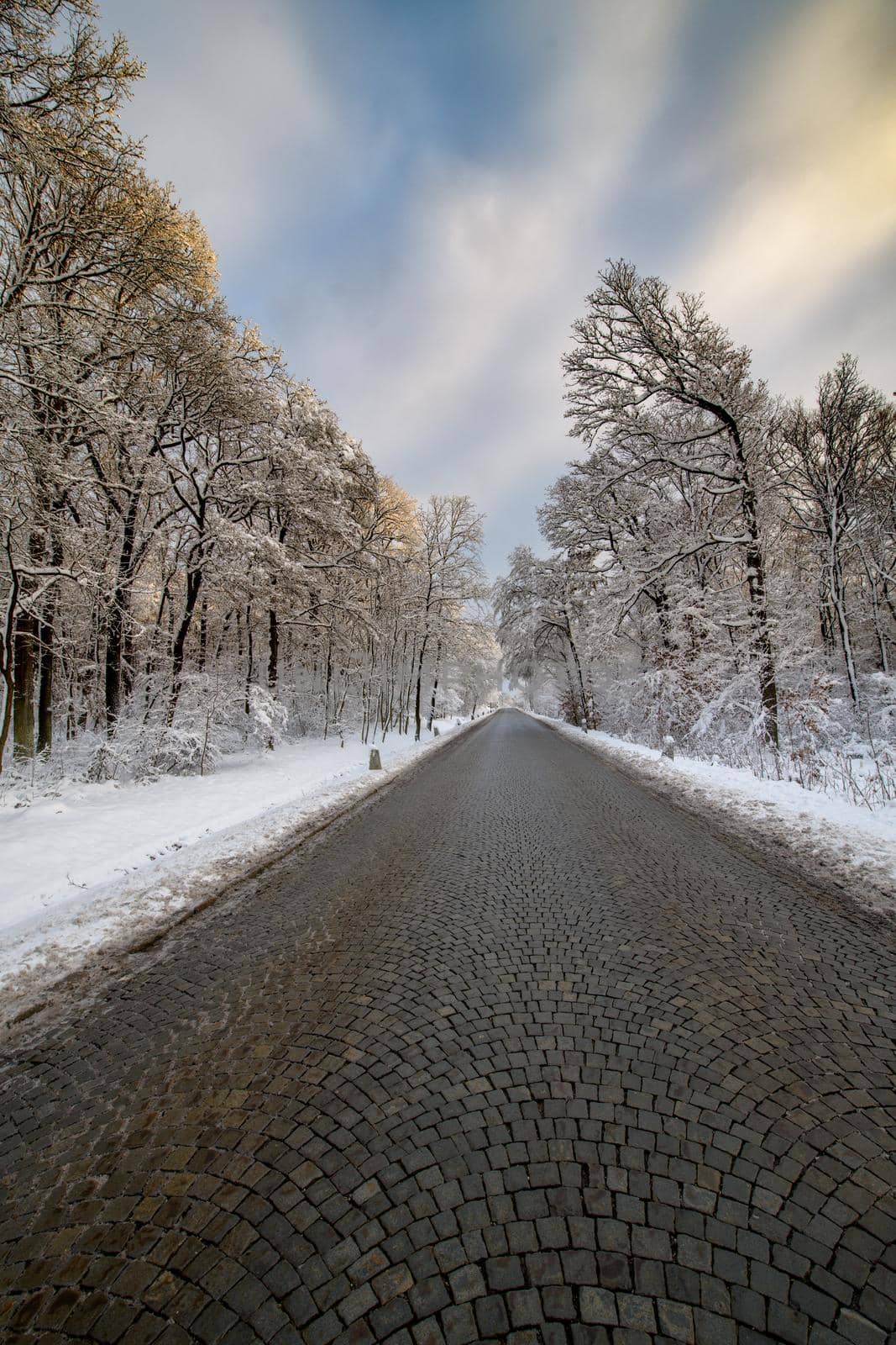 A street without vehicles and people with freshly fallen snow.