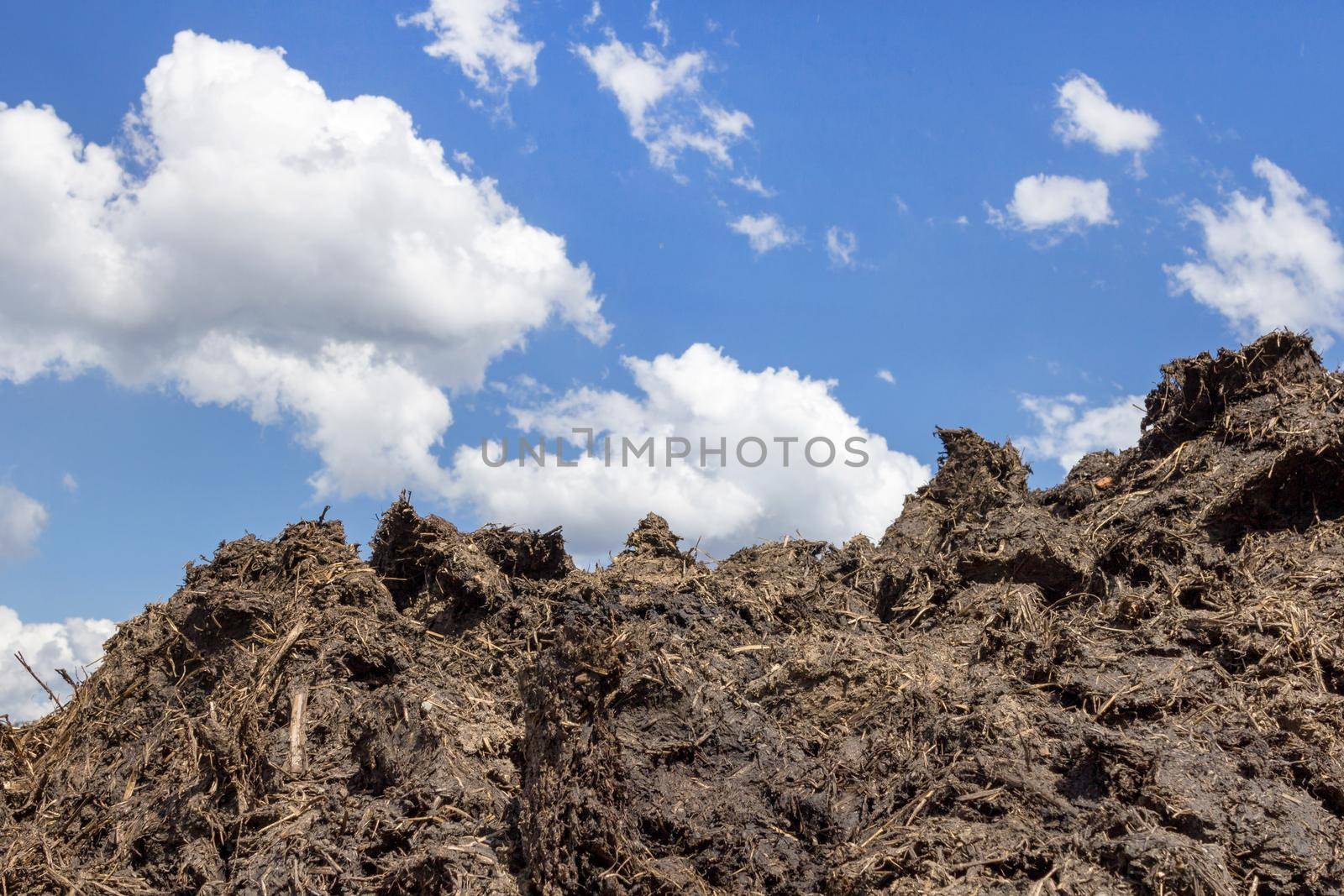 Pile of raw manure on the farmyard. Close up of pile of manure against a blue sky with white clouds. Traditional rural scene.
