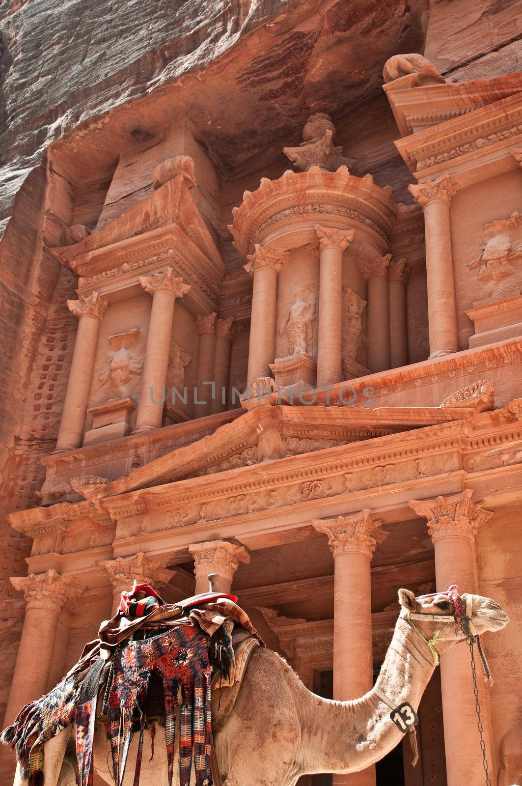 view of the petra treasury with camel in foreground