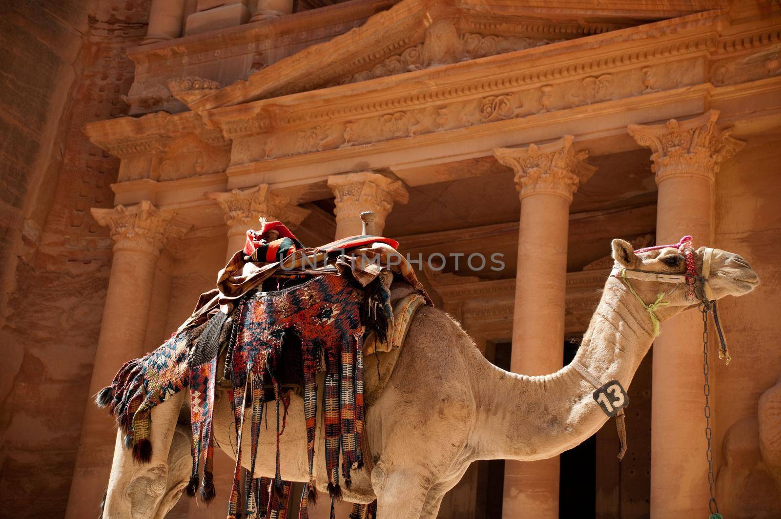 view of the petra treasury with camel in foreground