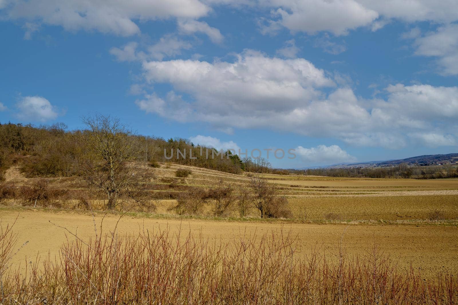 An expansive landscape in late winter.