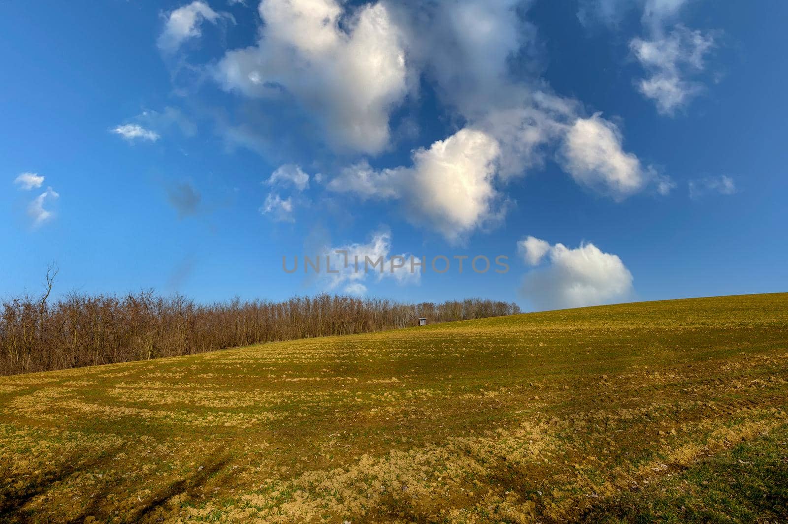 A dry field in the spring before sowing, with a hunter standing tall and a beautiful cloud formation.