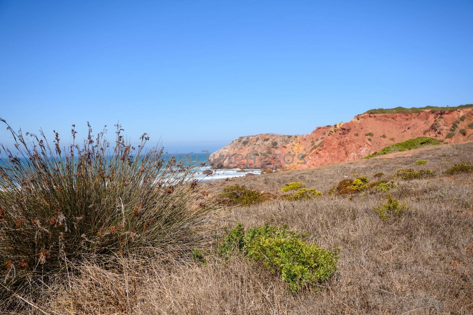 Cliffs in the Algarve with barren plants.