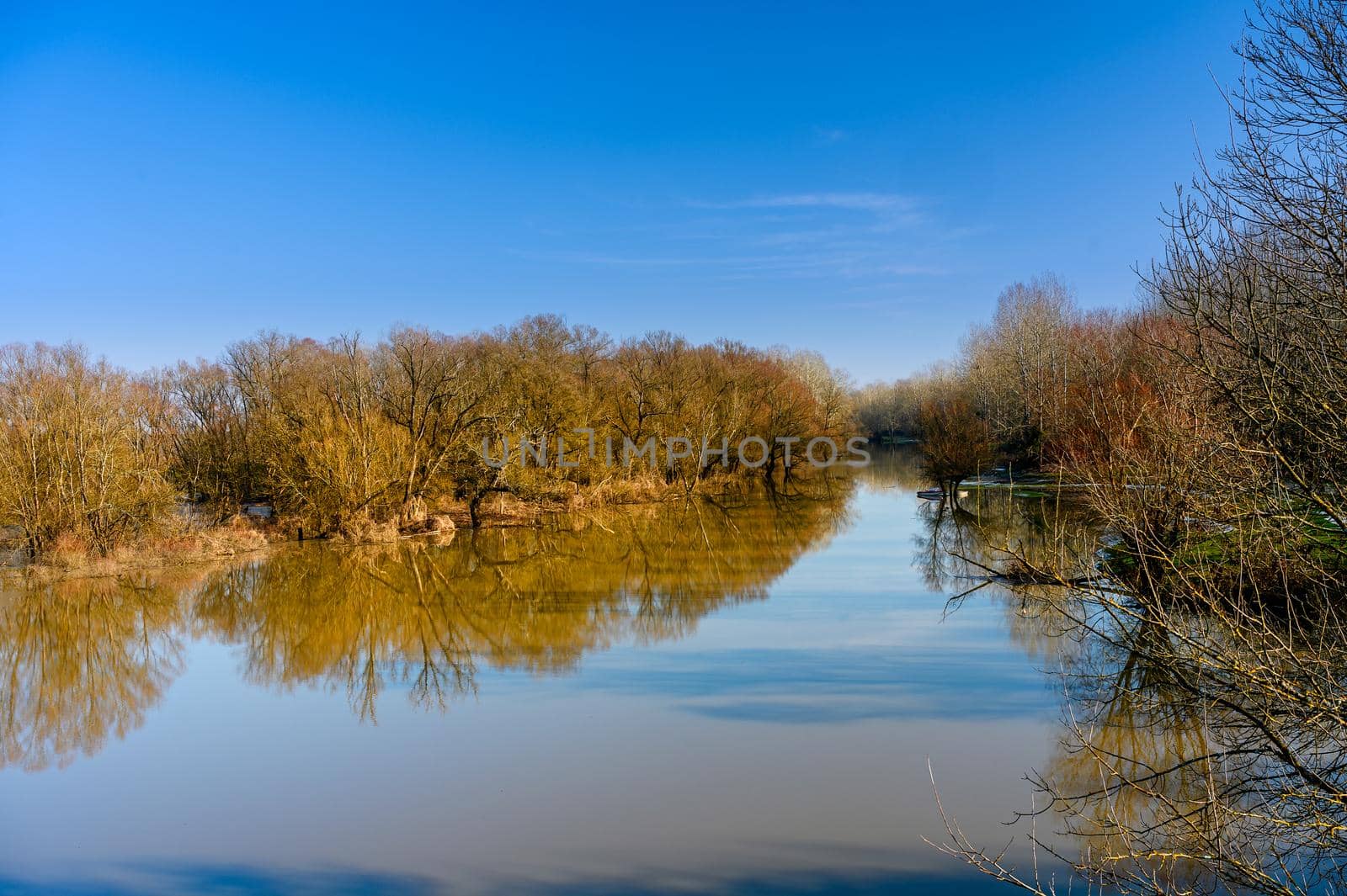 A calm dark river with trees on the bank.