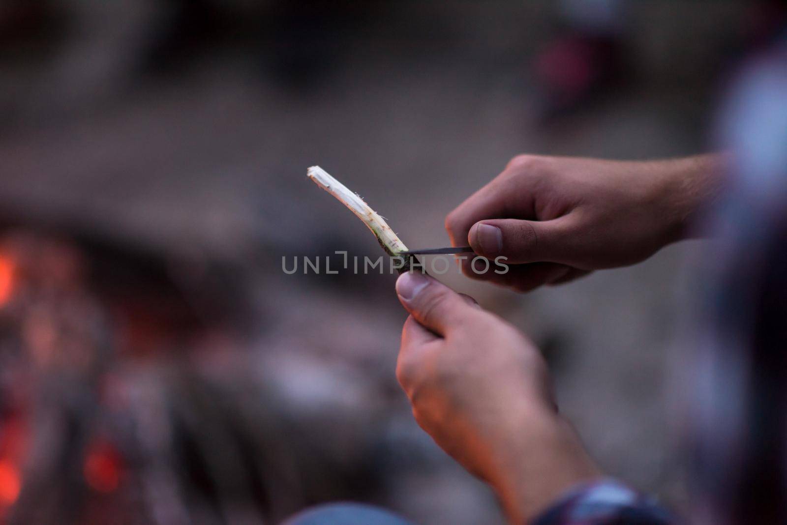 a group of happy young friends relaxing and enjoying  summer evening around campfire on the river bank