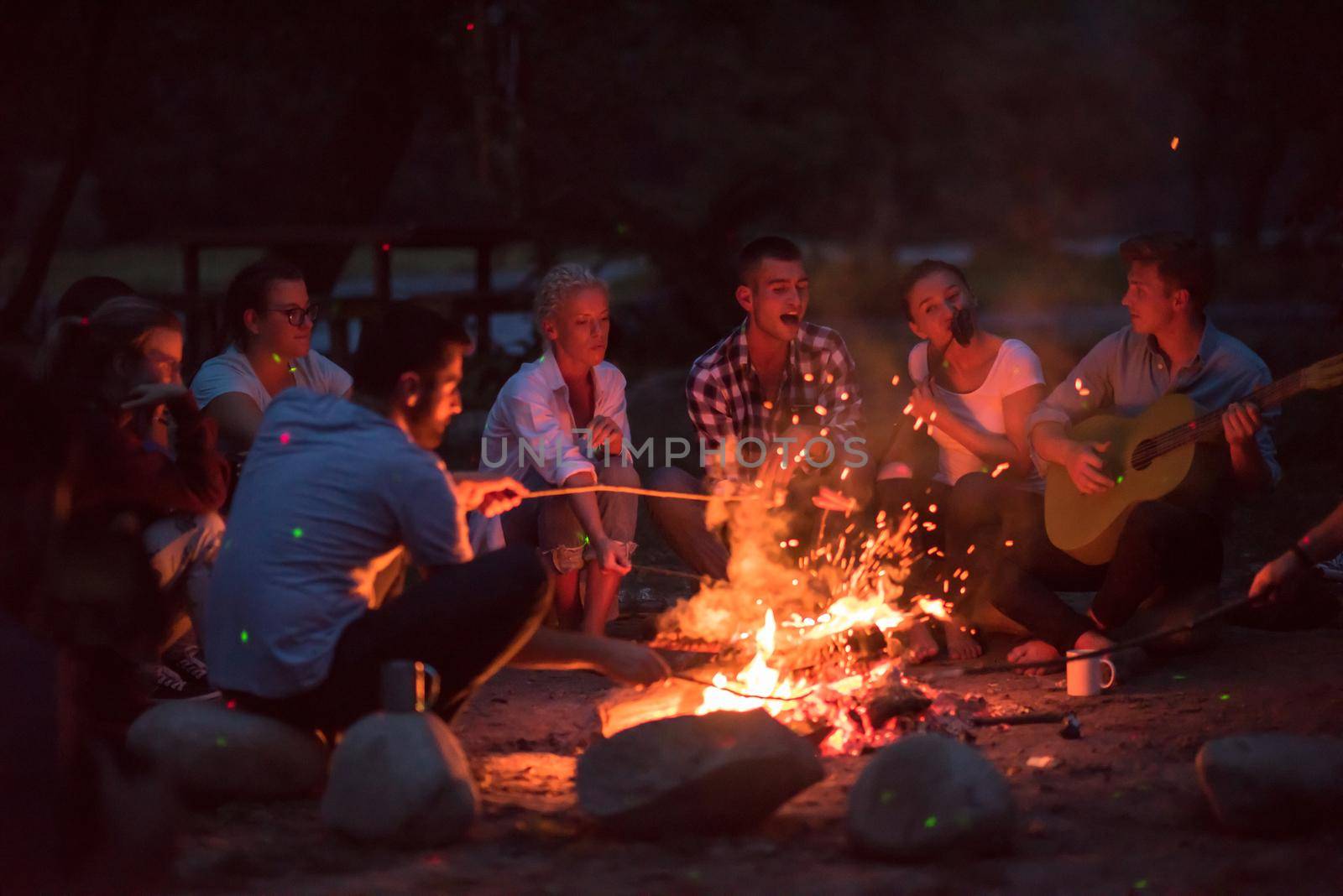 a group of happy young friends relaxing and enjoying  summer evening around campfire on the river bank