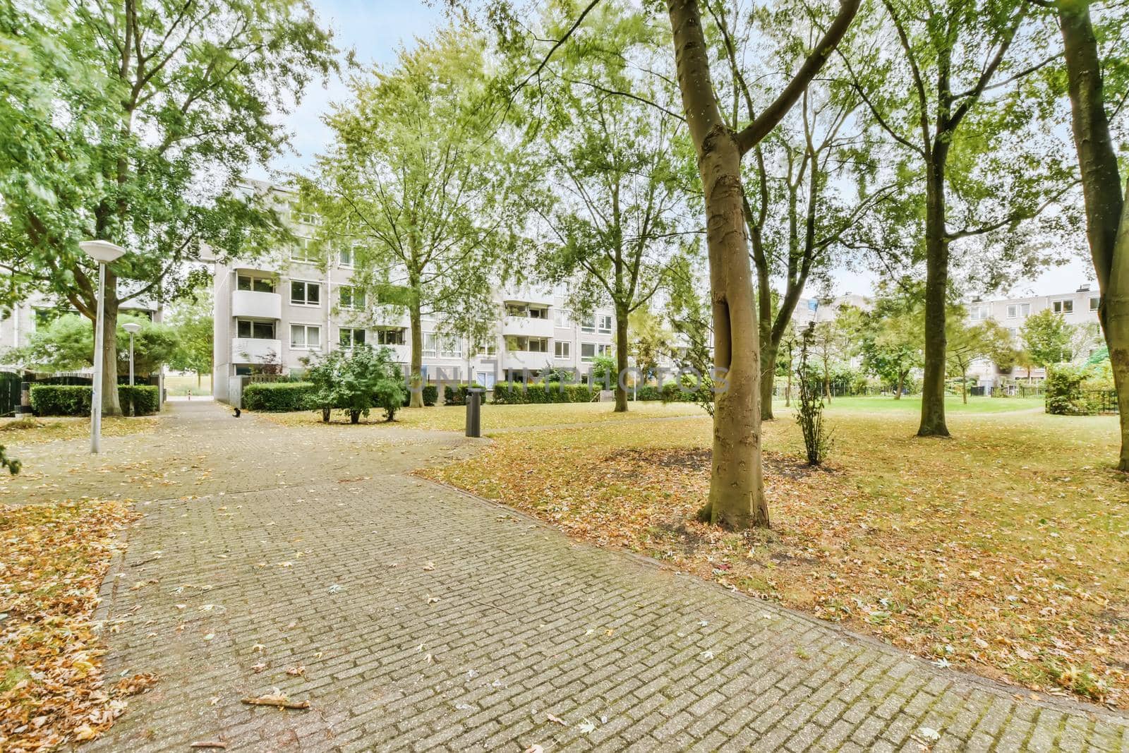 Superb courtyard with beautifully laid paths and trees