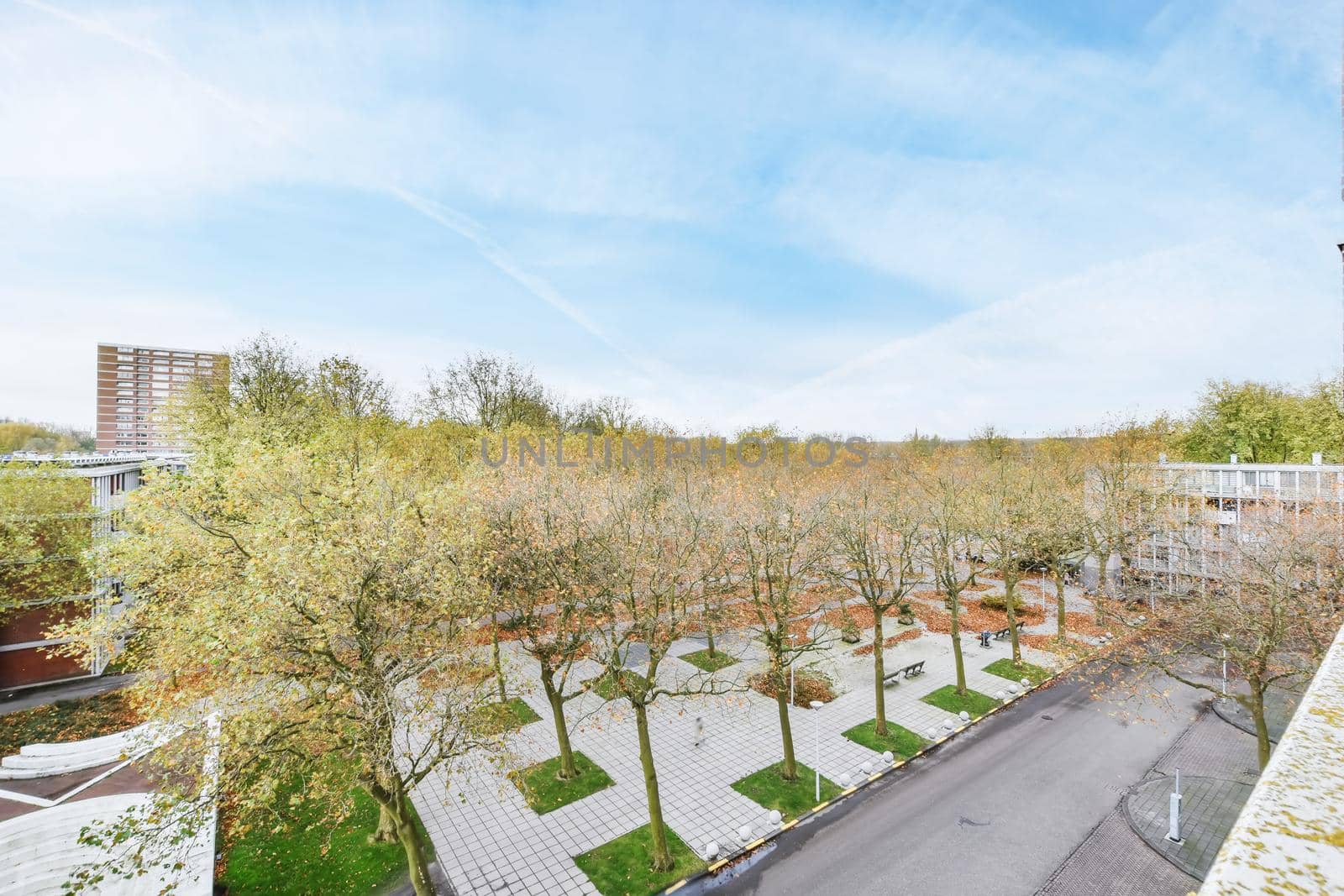 Amazing park with trees and beautifully laid tiles