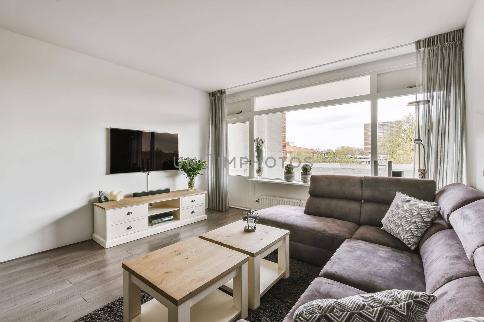 Stylish living room with soft sofa and plasma TV