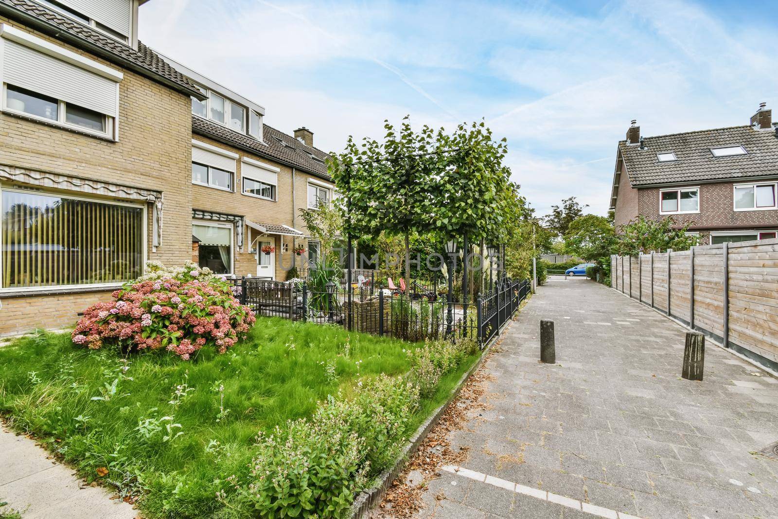 Landscape of houses with fences and many greenery