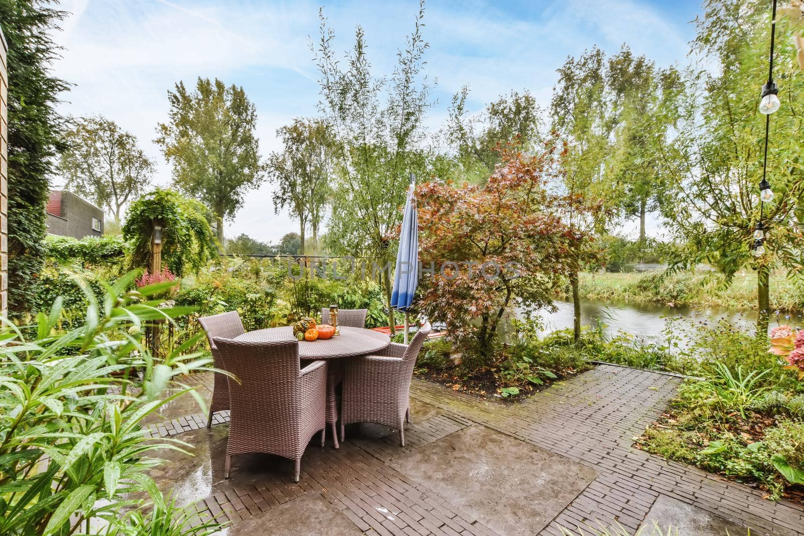 Courtyard with full of greenery and wicker chairs