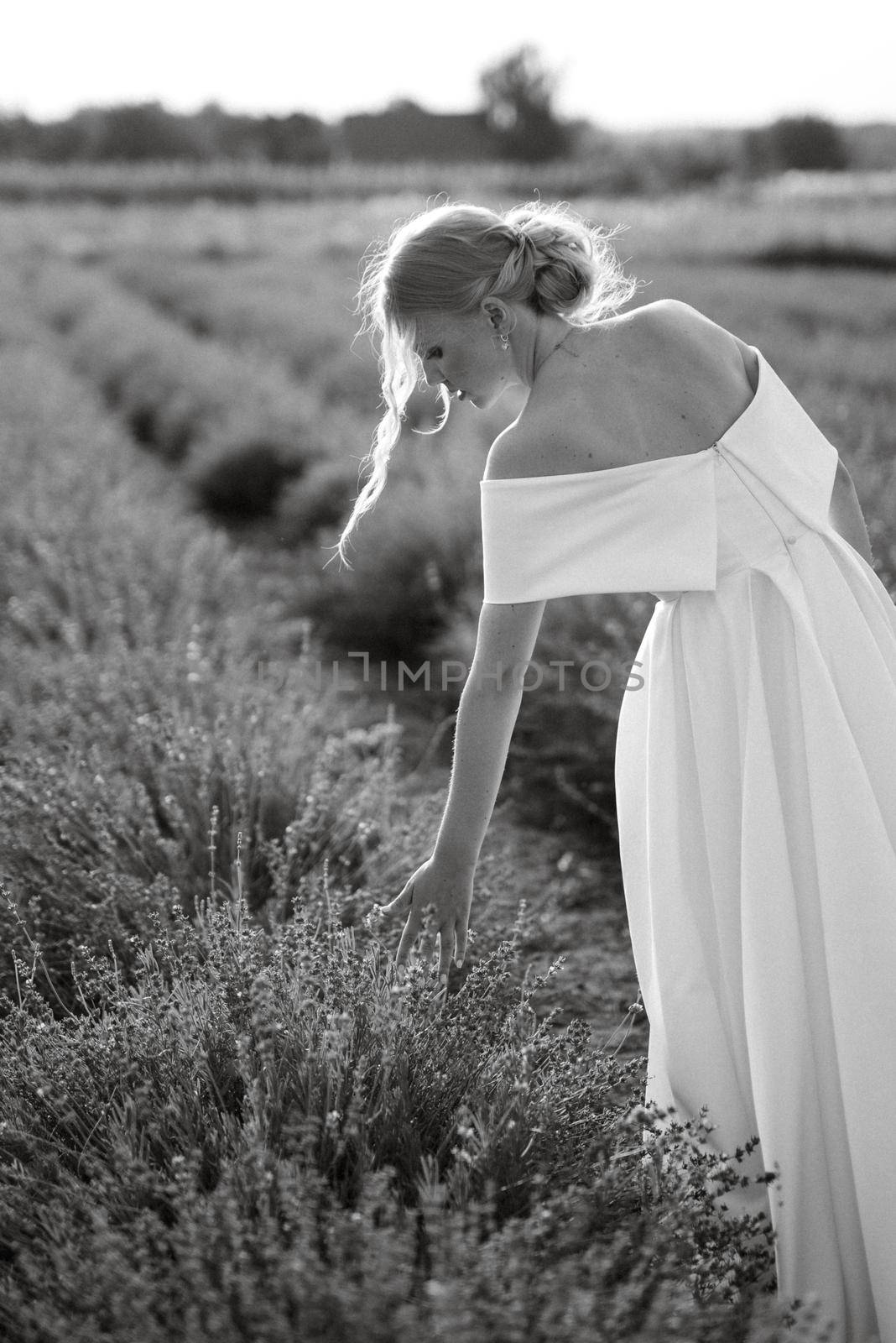 the bride in a white dress  on the lavender field by Andreua