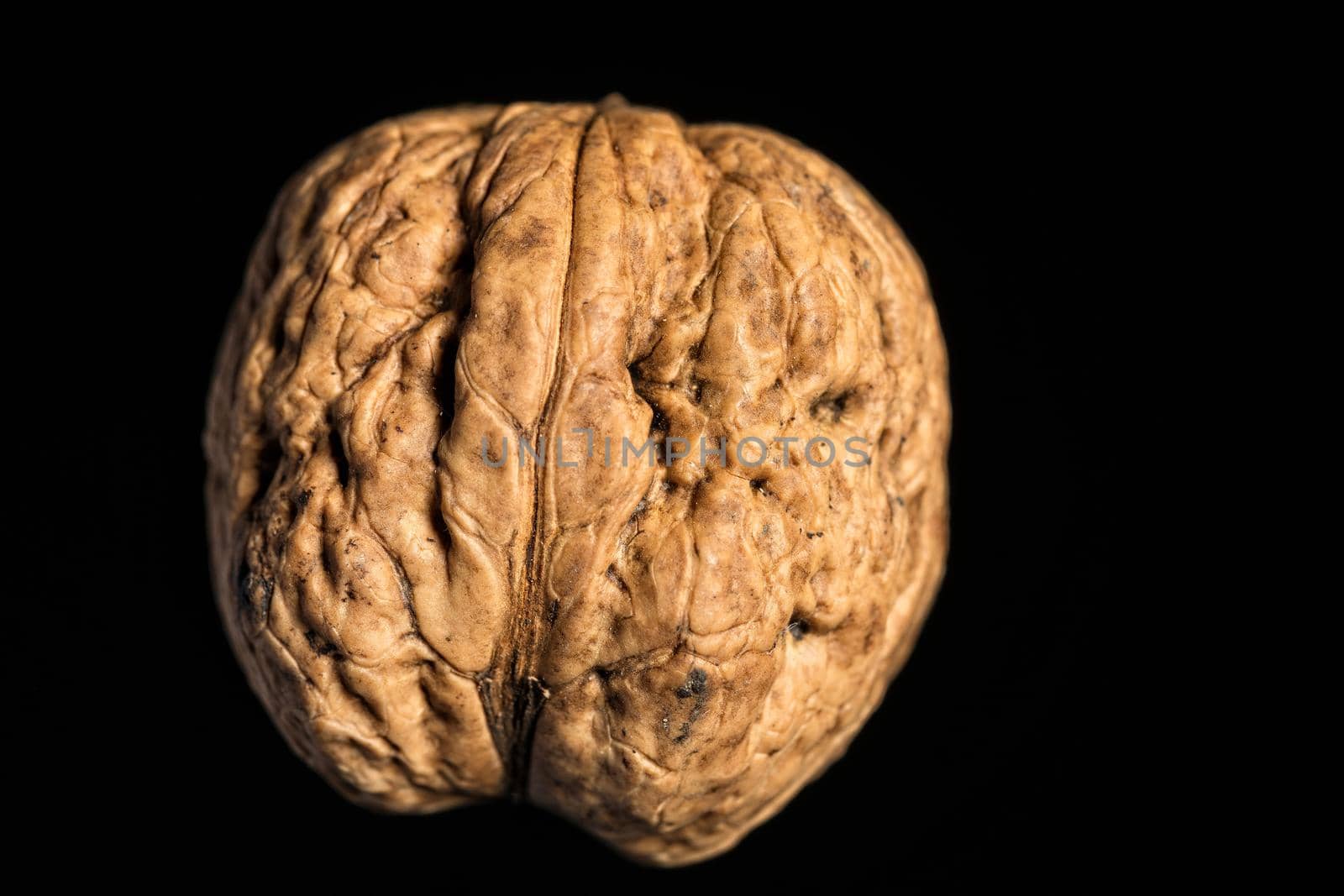 A fresh walnut in the shell on a deep black surface.