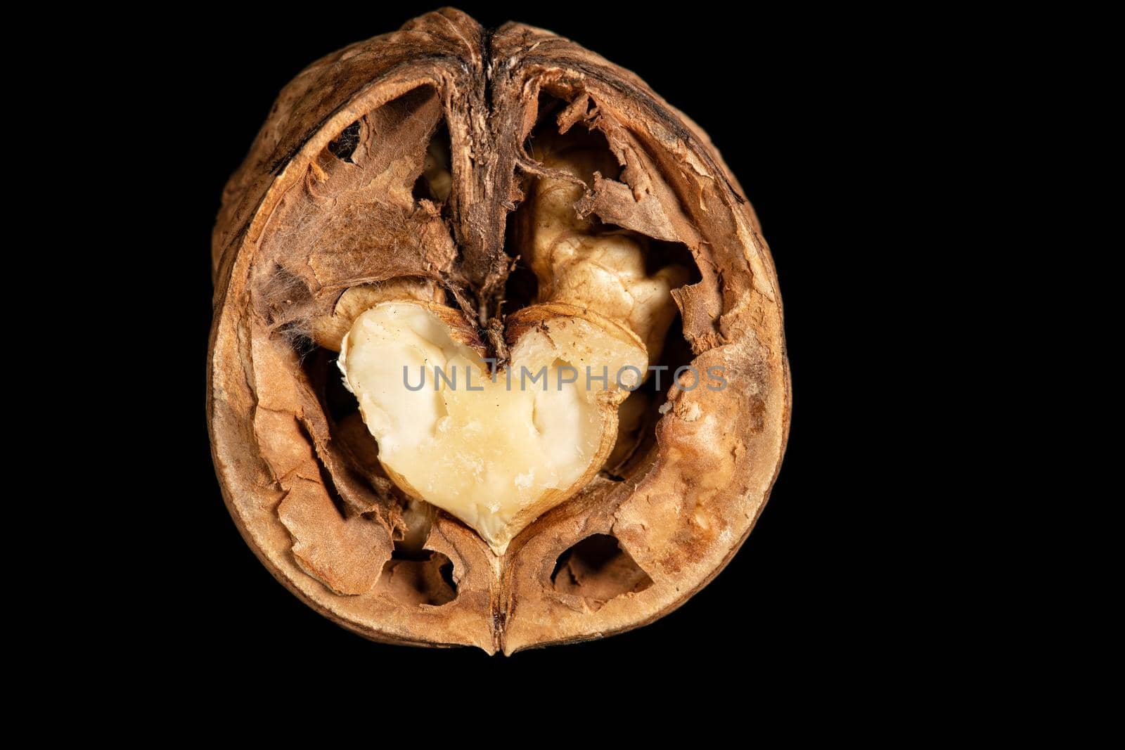 A fresh walnut cutted in the middle presented in the shell on a deep black surface.