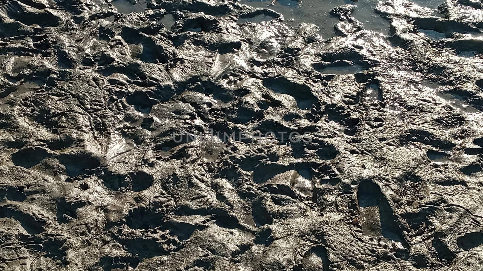 Iiquid mud with footprints. Footprint or imprint shoe in the mud.Mud texture or wet brown soil as natural organic clay and geological sediment mixture as in roughing.