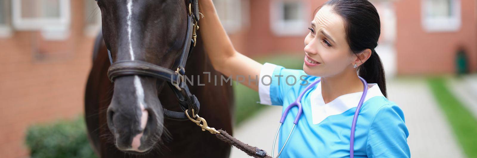 Woman veterinary doctor holding thoroughbred horse by bridle in stable and stroking head. Medical care for horses concept