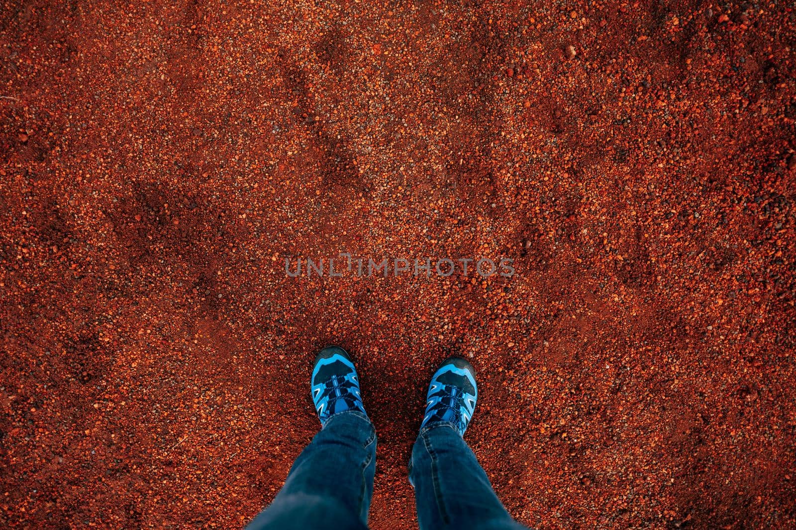 Male feet in blue sneakers on the red carpet. Close-up. High quality photo