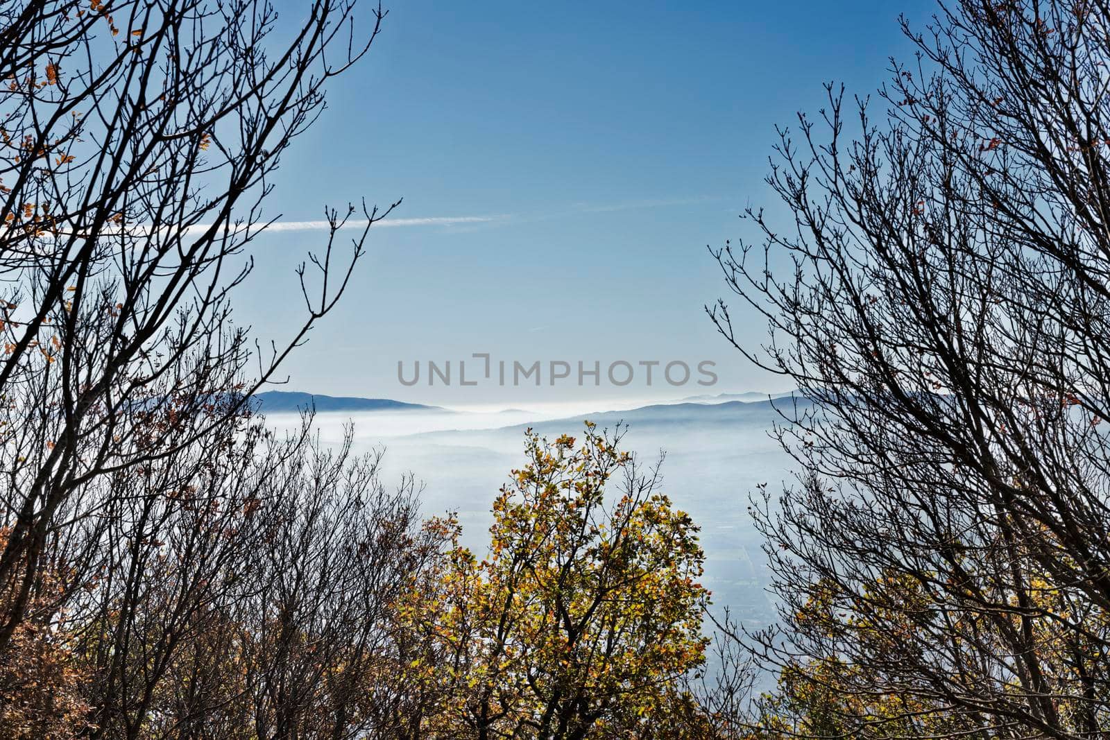 Panorama of cloudy day from Assisi ,Italy , in the foreground tree with autumnal leaves