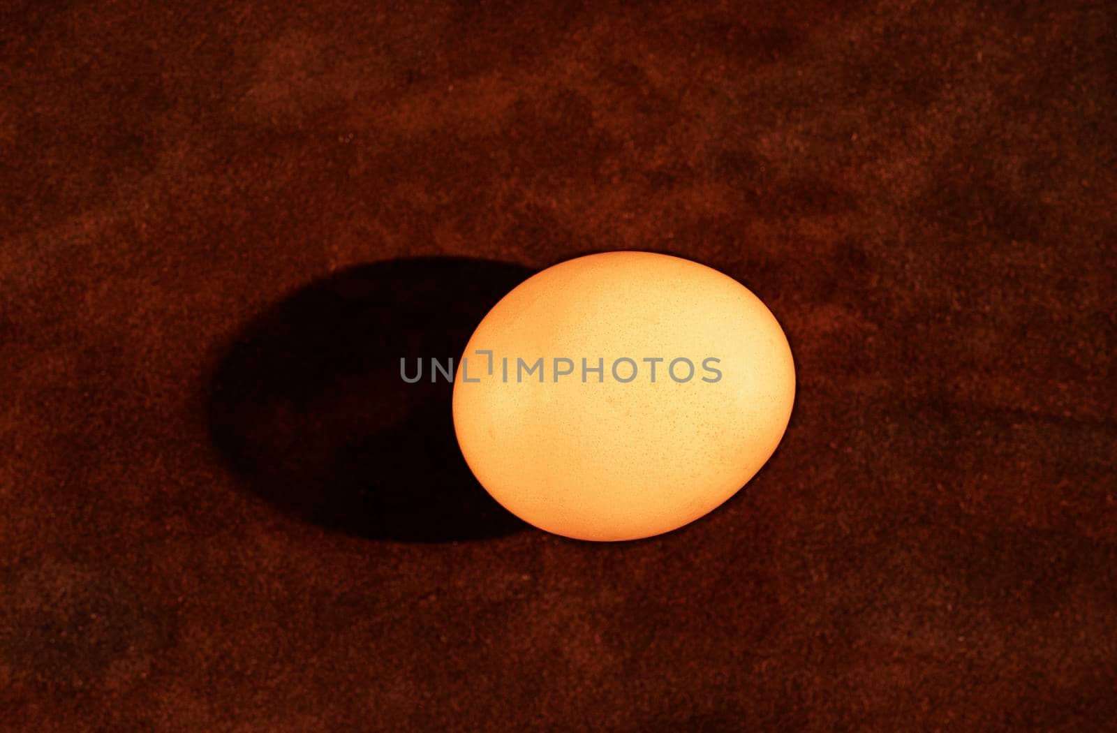 Fresh uncooked egg on brown background