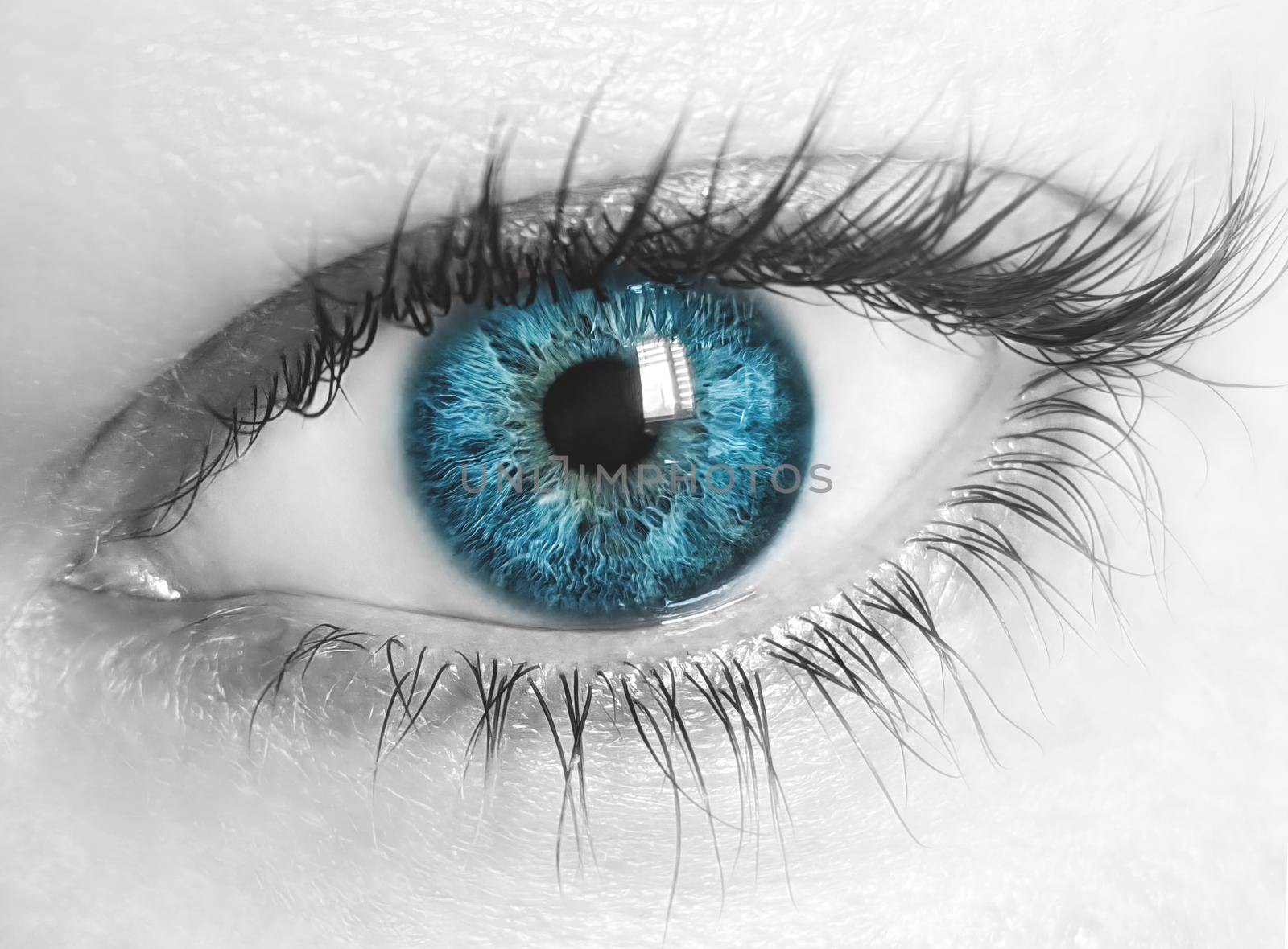 macro image of human eye with blue iris and desaturated skin. Close-up view