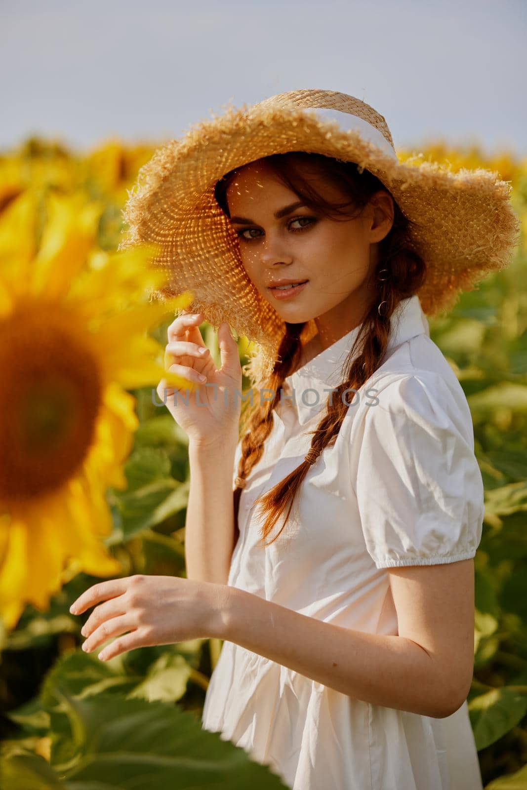 woman portrait in a straw hat in a white dress a field of sunflowers agriculture Summer time. High quality photo