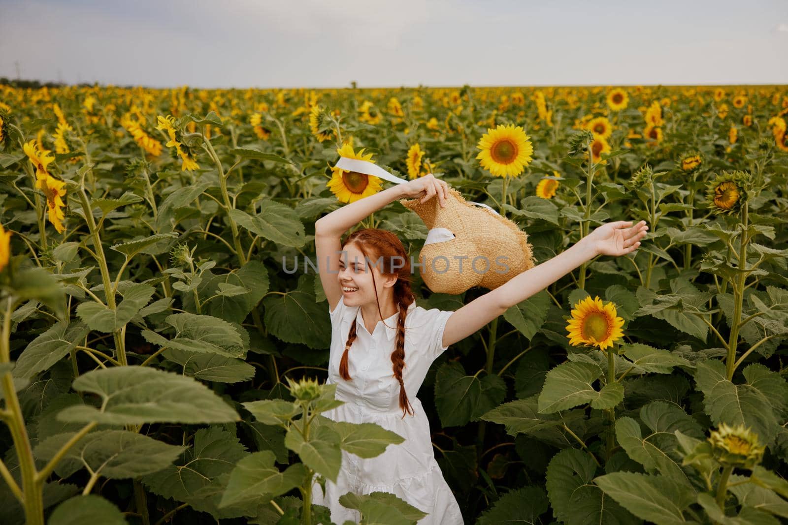 beautiful sweet girl looking in the sunflower field unaltered. High quality photo