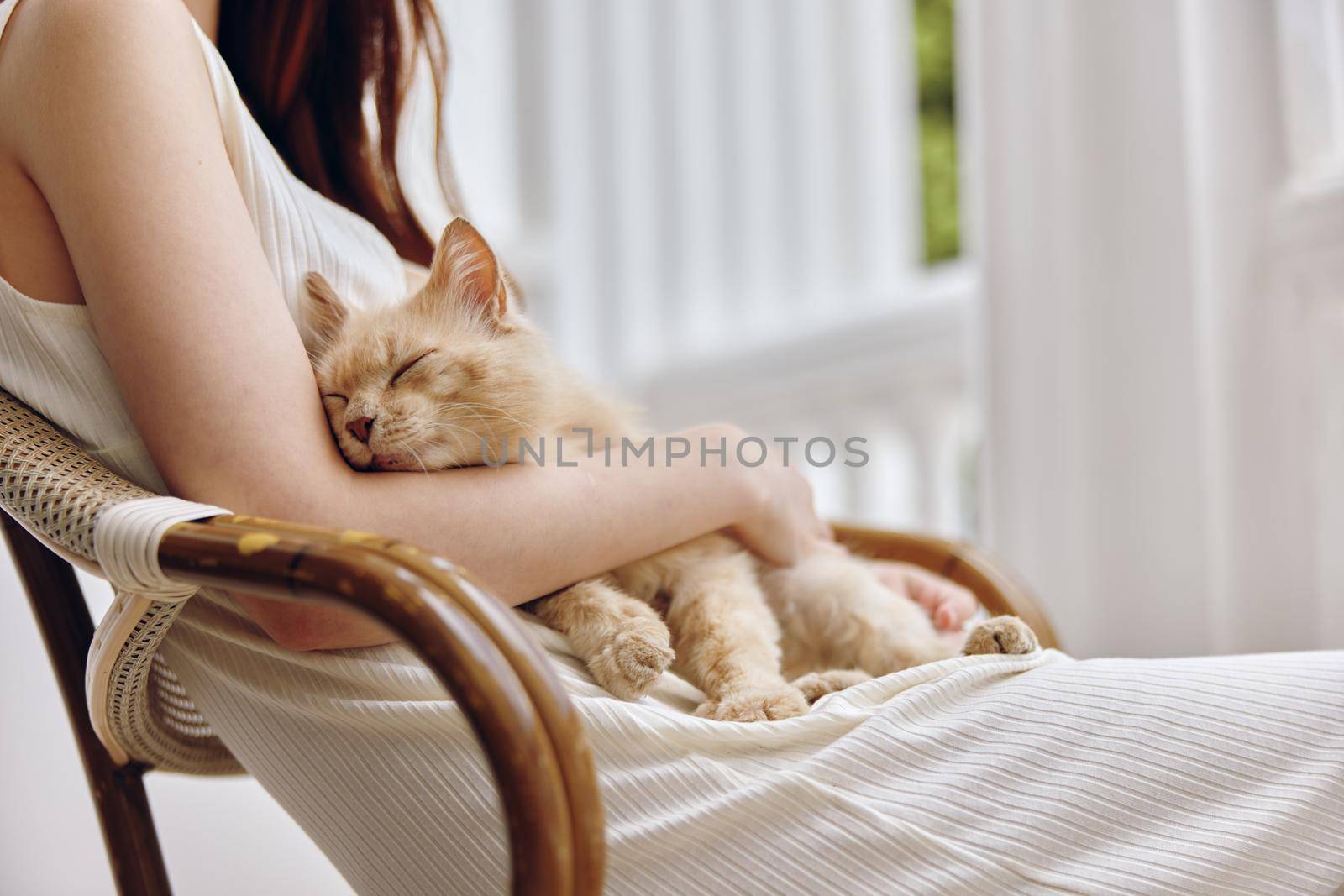 Woman in white dress together with the cat on the terrace Friendship rest unaltered. High quality photo