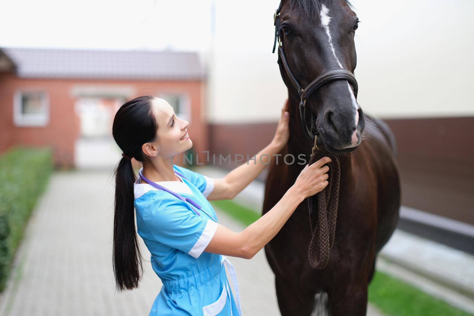 Woman veterinarian looks at the horse, close-up, blurry. Initial visual examination of the horse. Vet clinic
