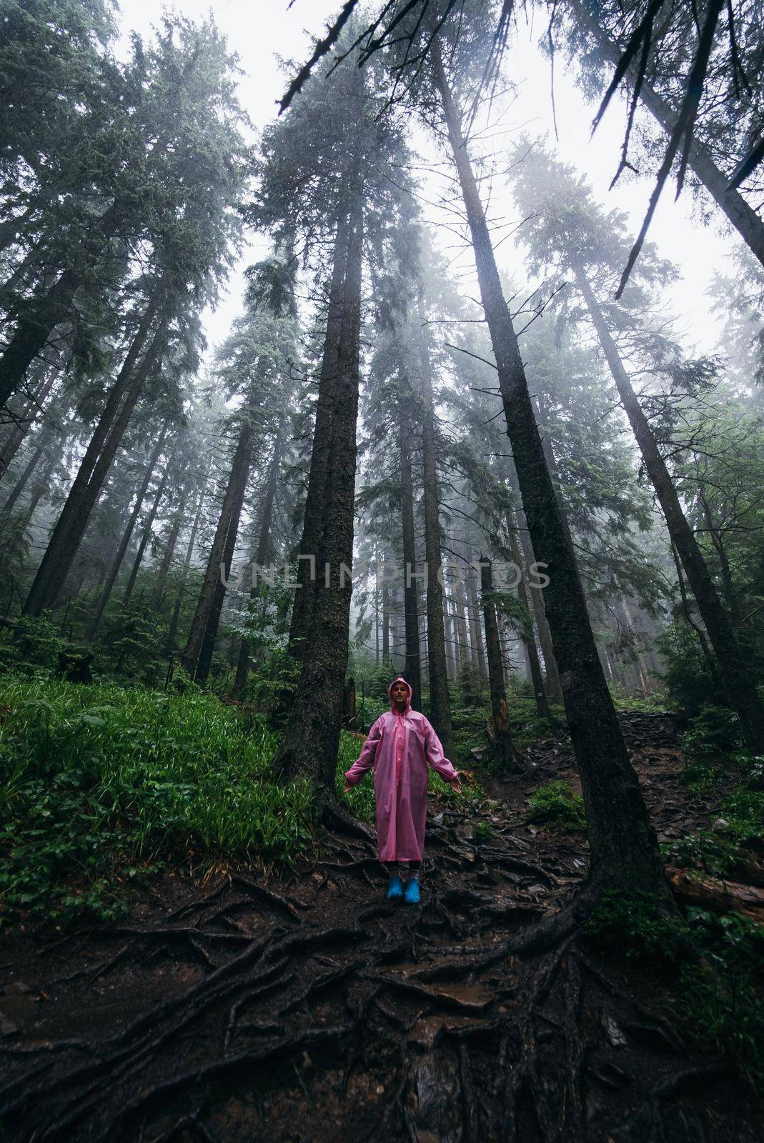 woman in raincoat walking by rainy forest