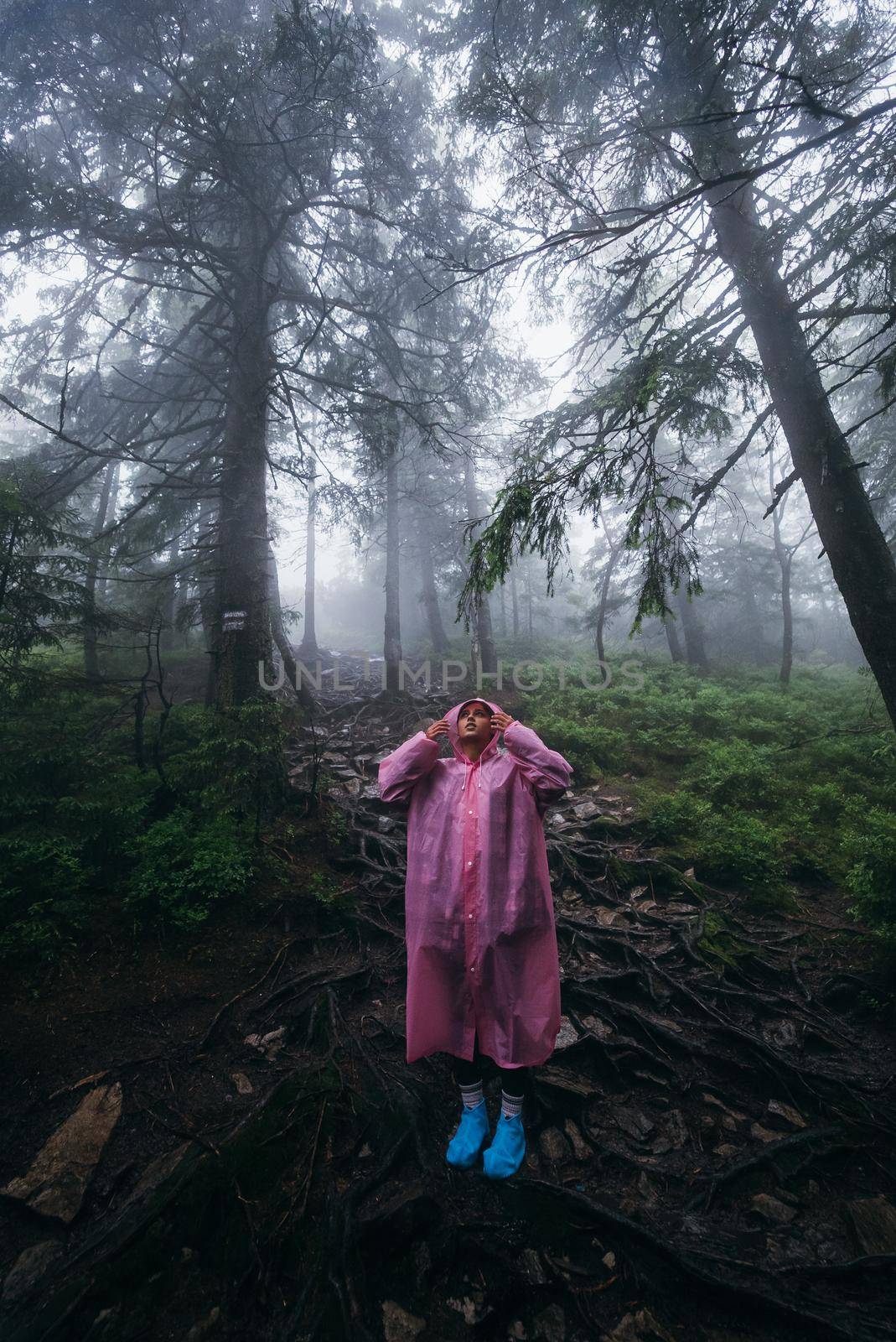 Young woman in a raincoat walks through the forest in the rain by teksomolika