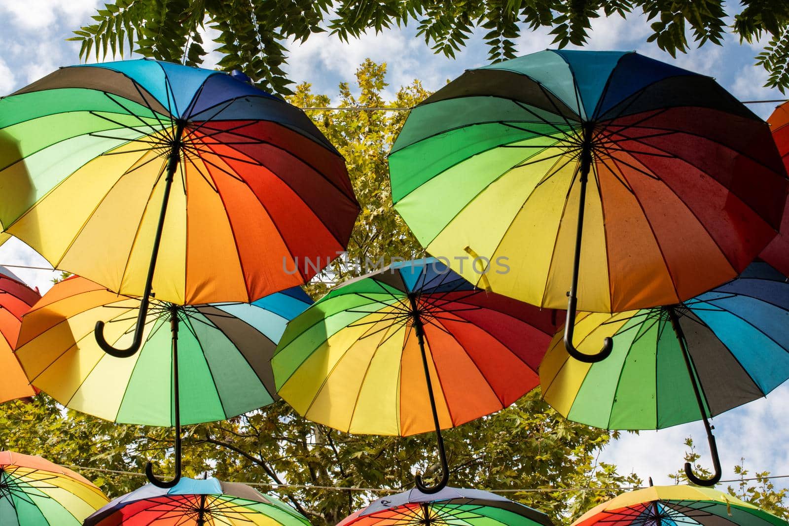 The street is decorated with many red color open umbrellas by berkay