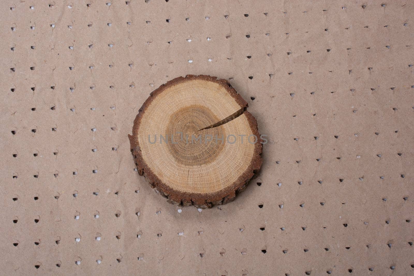 Small piece of cut wood log in round shape by berkay