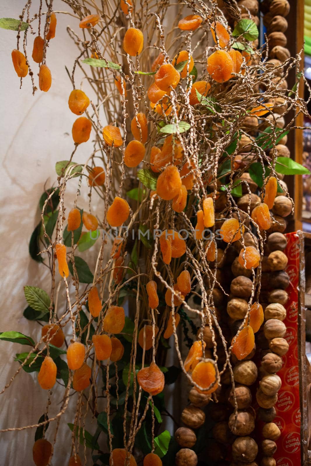 Dried apricots hanging on tree branch close up in a market