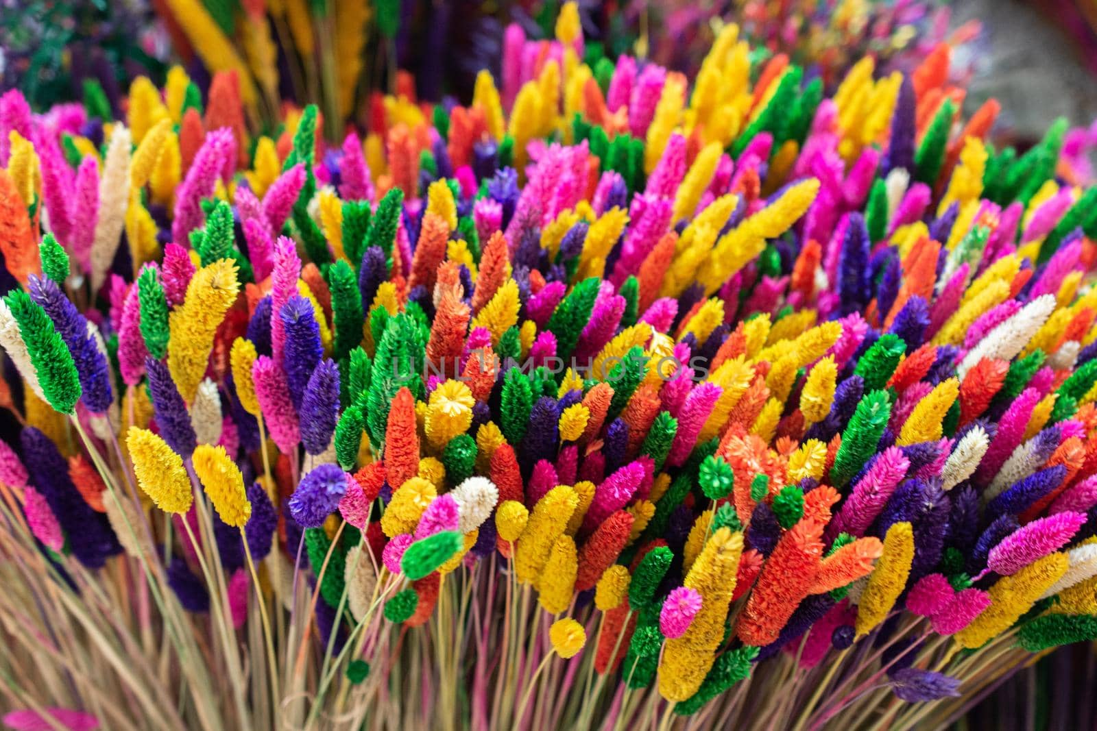 Colorful dyied dried wild flowers for doceration by berkay