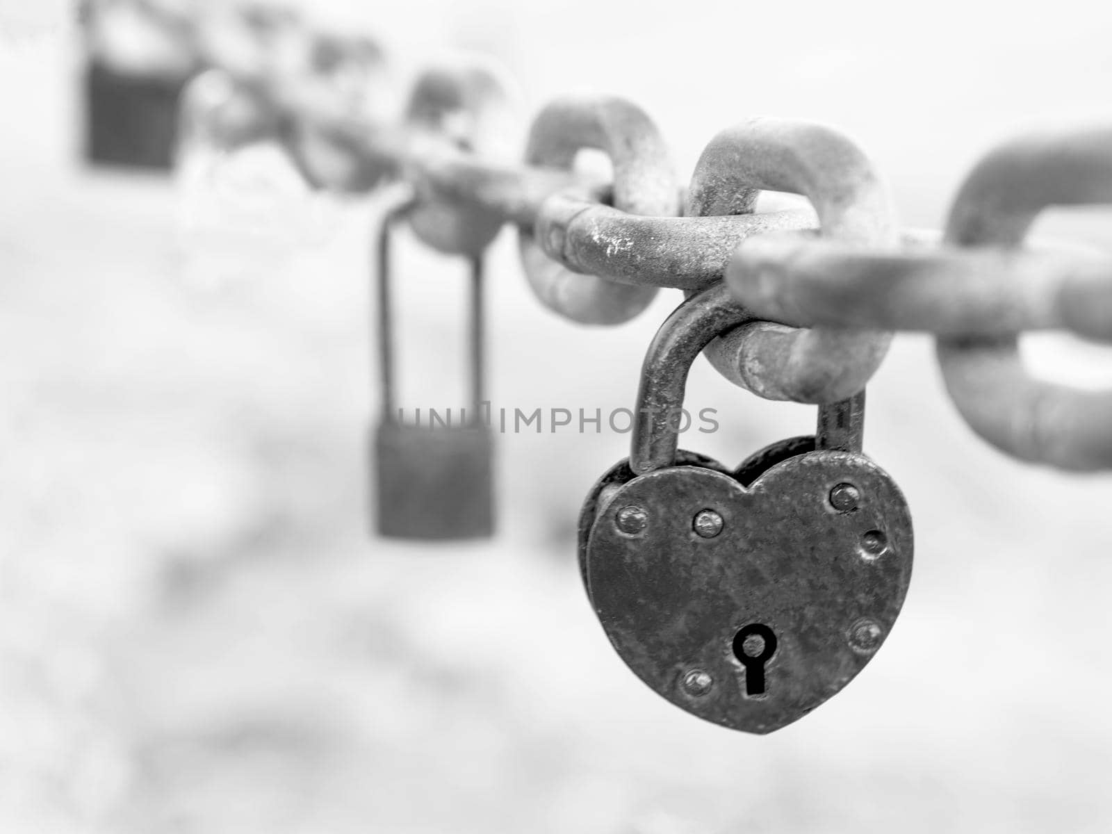 Lock - heart hangs from bridge chain. Wedding symbol of love.  by Laguna781