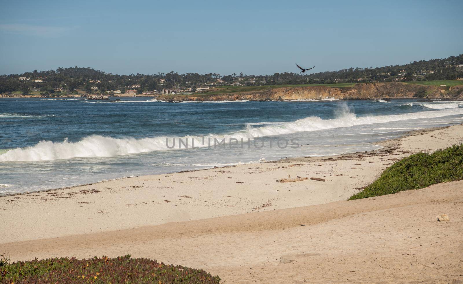 Carmel Beach in the Carmel-by-the-Sea City in California United States of America.