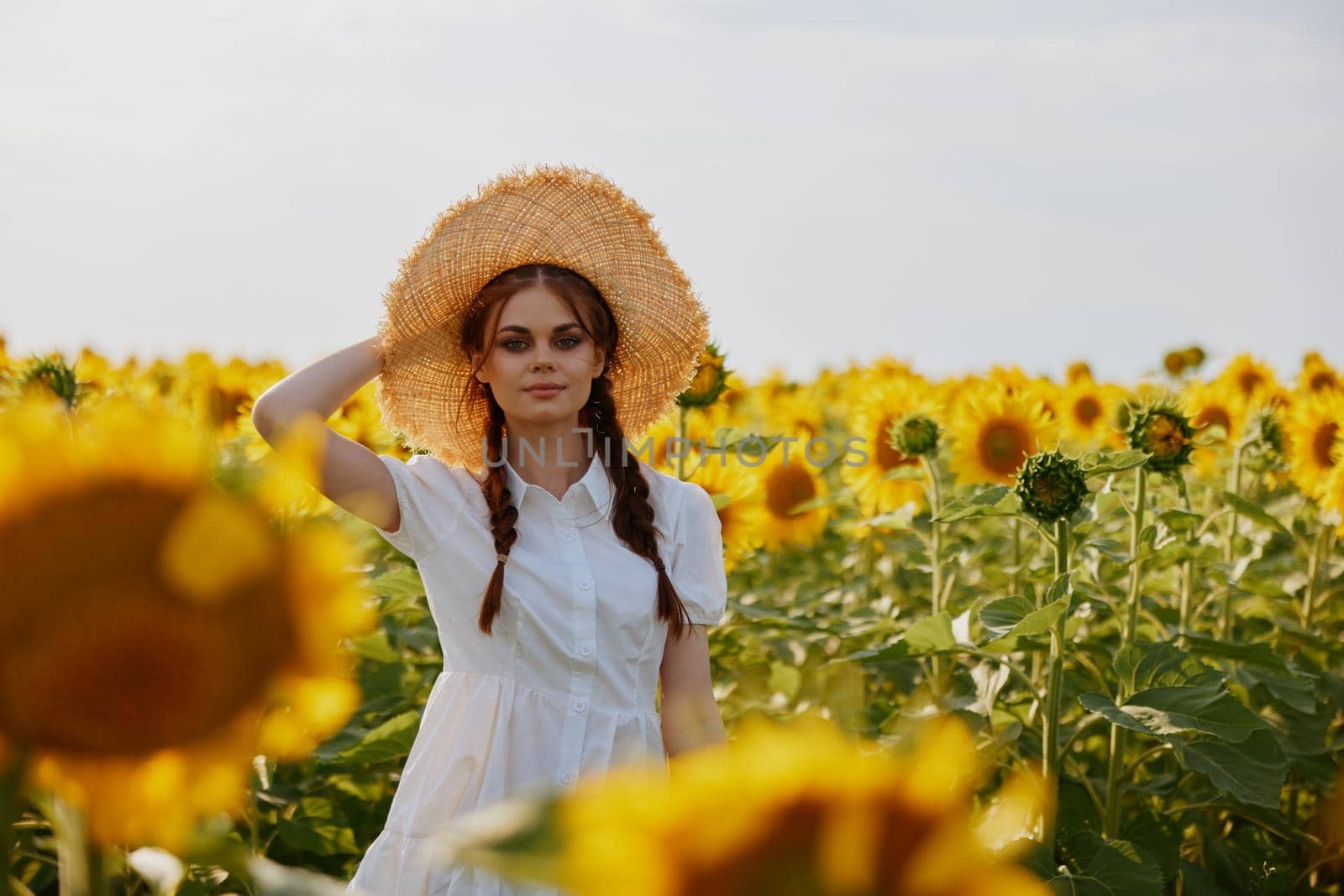 woman with pigtails looking in the sunflower field countryside. High quality photo