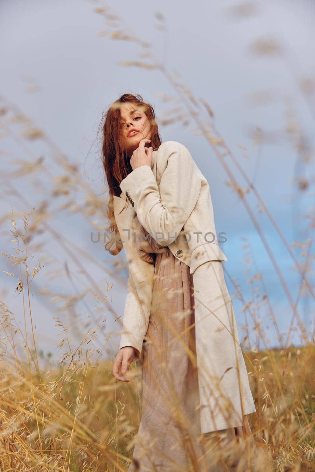 pretty woman walk in the field autumn season concept. High quality photo