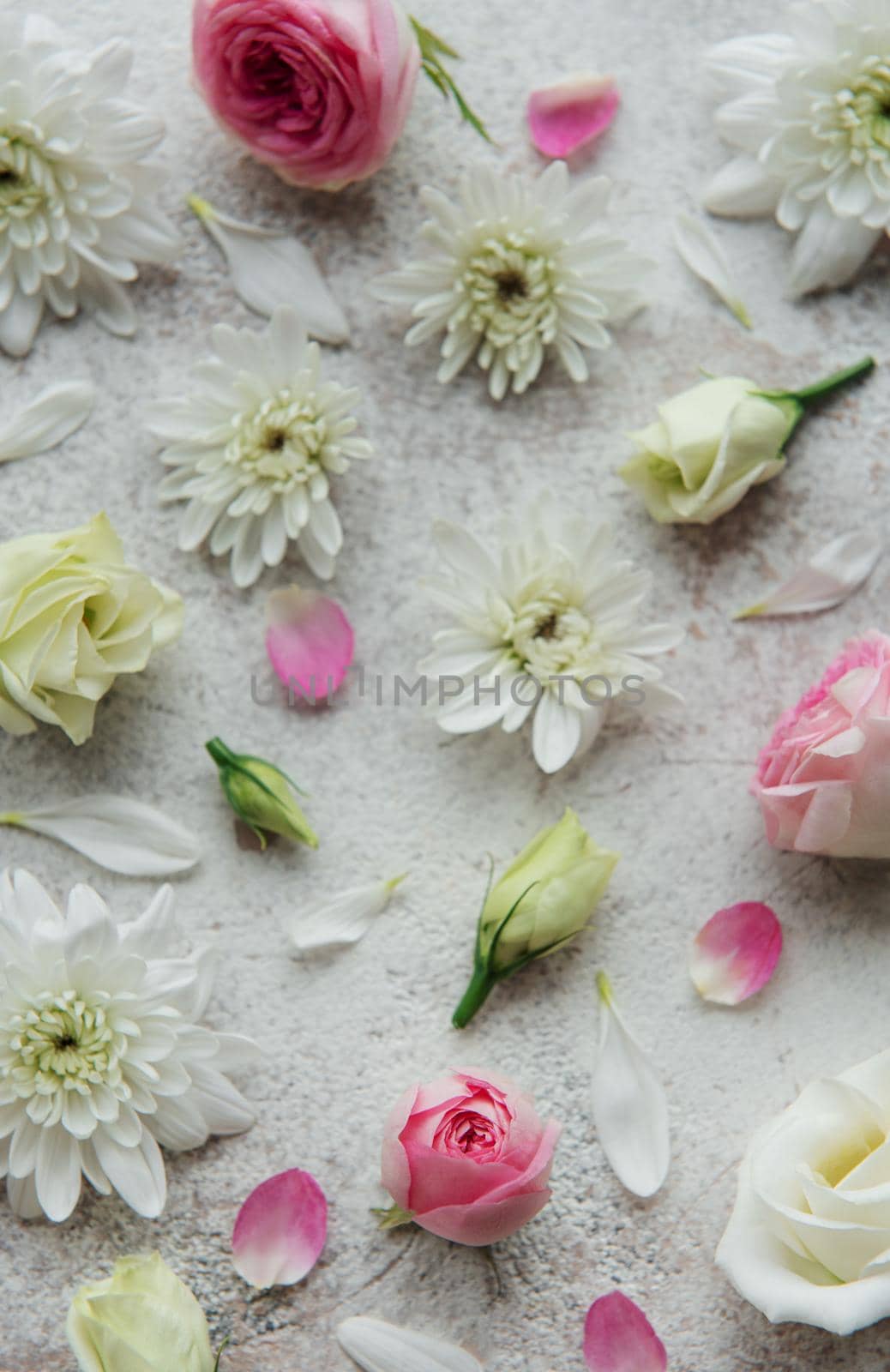 Pink and white flowers on concrete background. by Almaje
